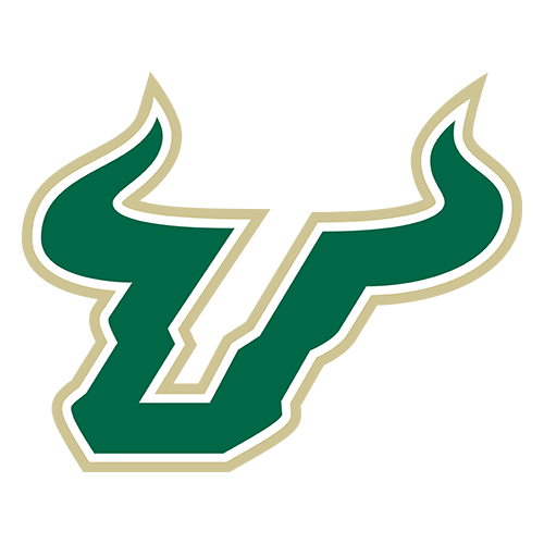 University of South Florida